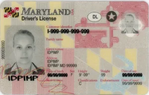 maryland fake IDs