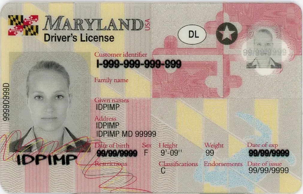 maryland fake IDs
