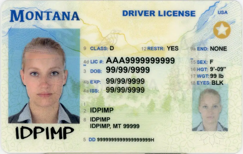Montana Fake ID - Fake IDs IDPimp